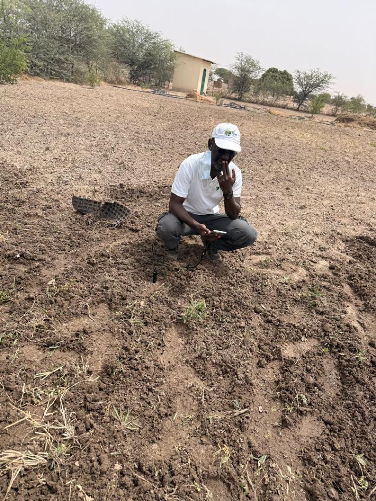 Collecte de données sur le terrain avec application mobile