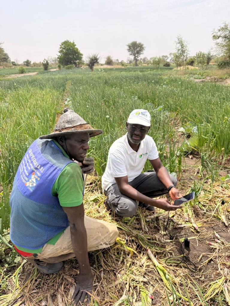 Accompagnement d'un producteur agricole sénégalais